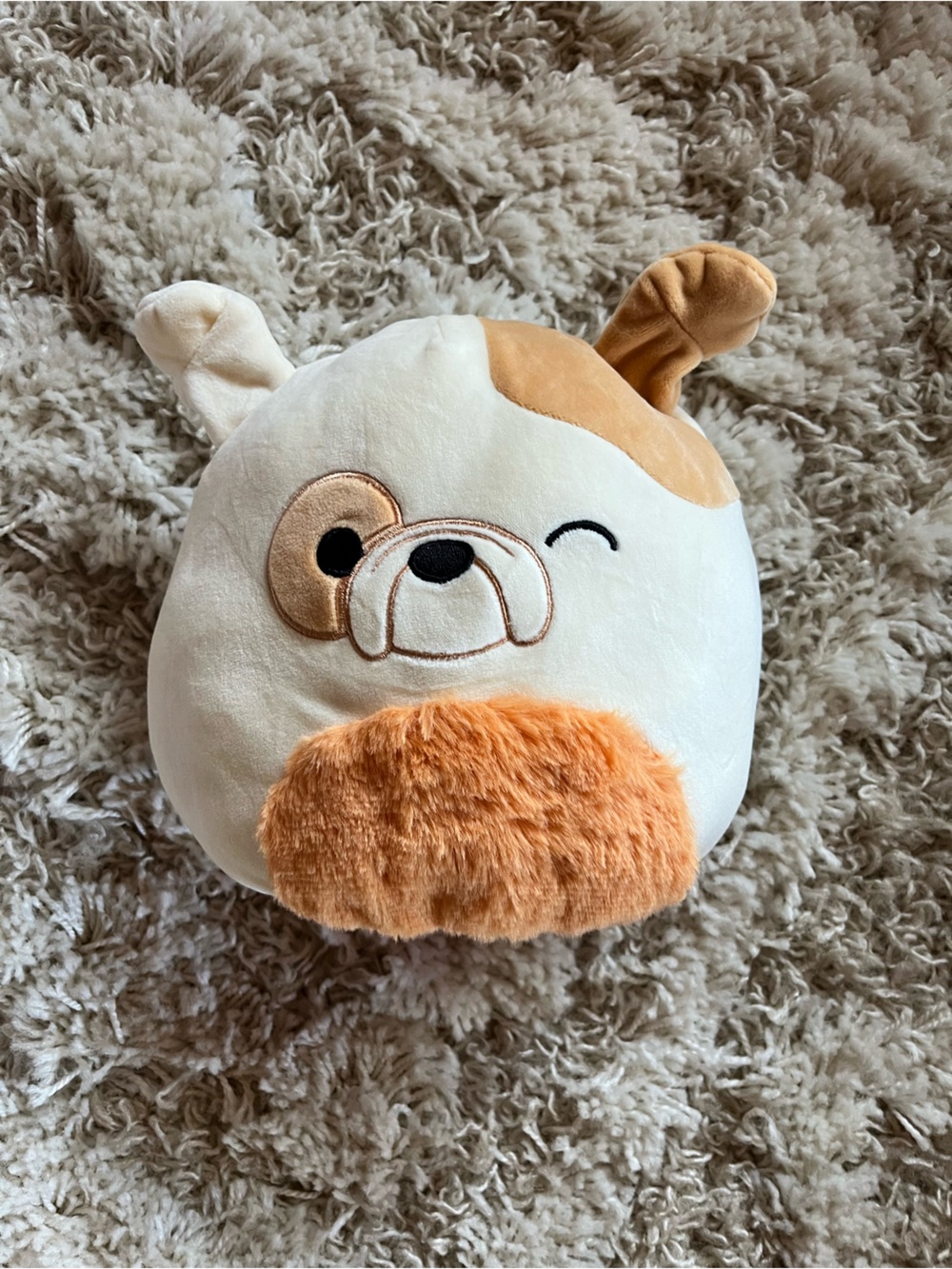 Interchangeable squish mellow pillow